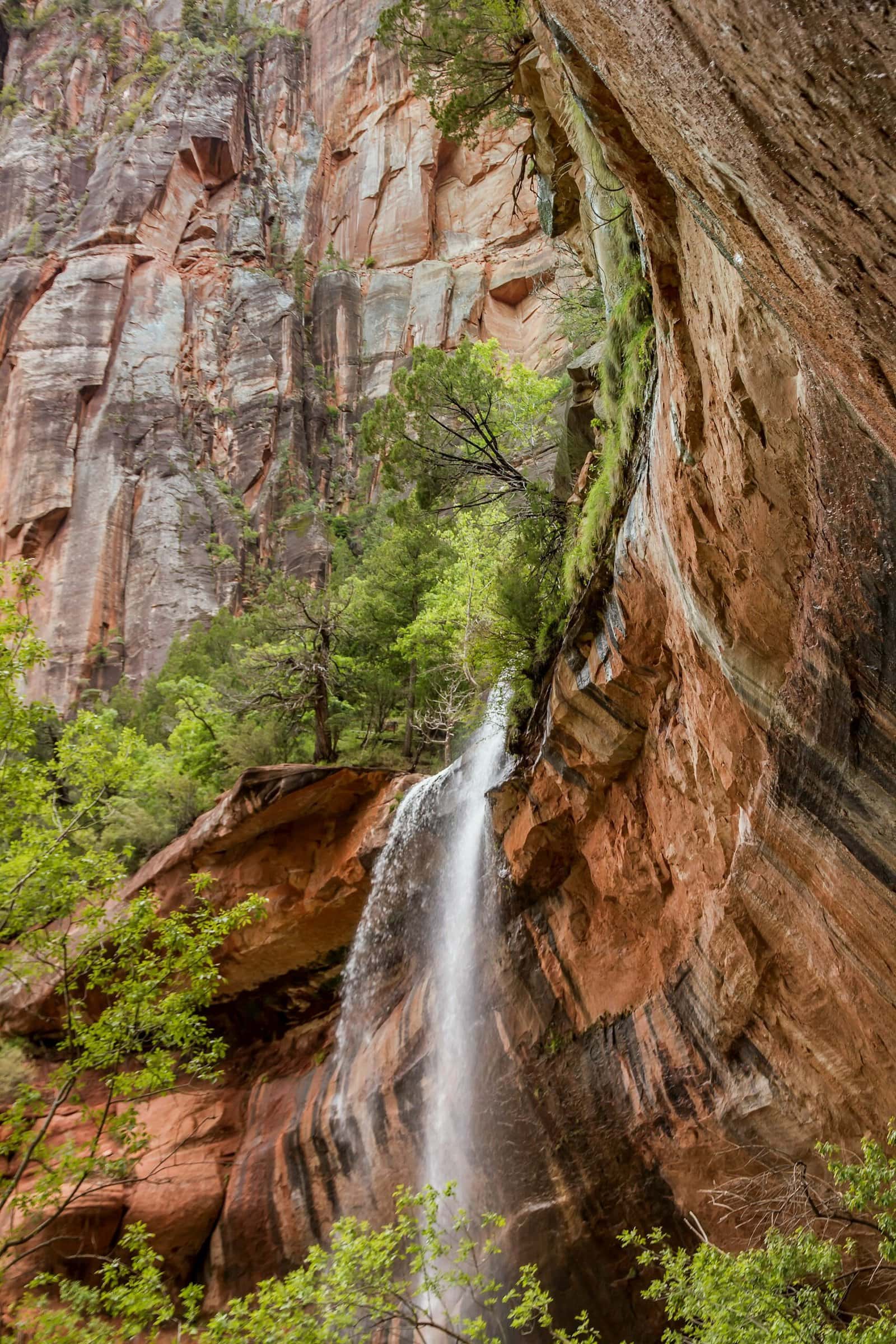 Lower Emerald Pool in Zion National Park