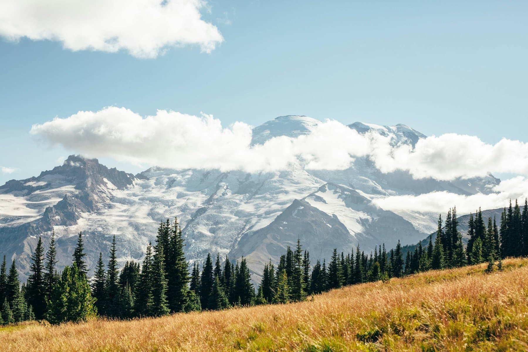 The view from the upper trails in Mount Rainier National Park