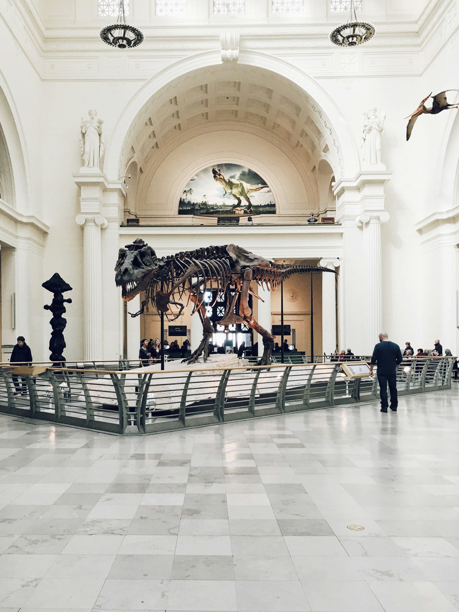 Sue the T. rex at the Field Museum in Chicago