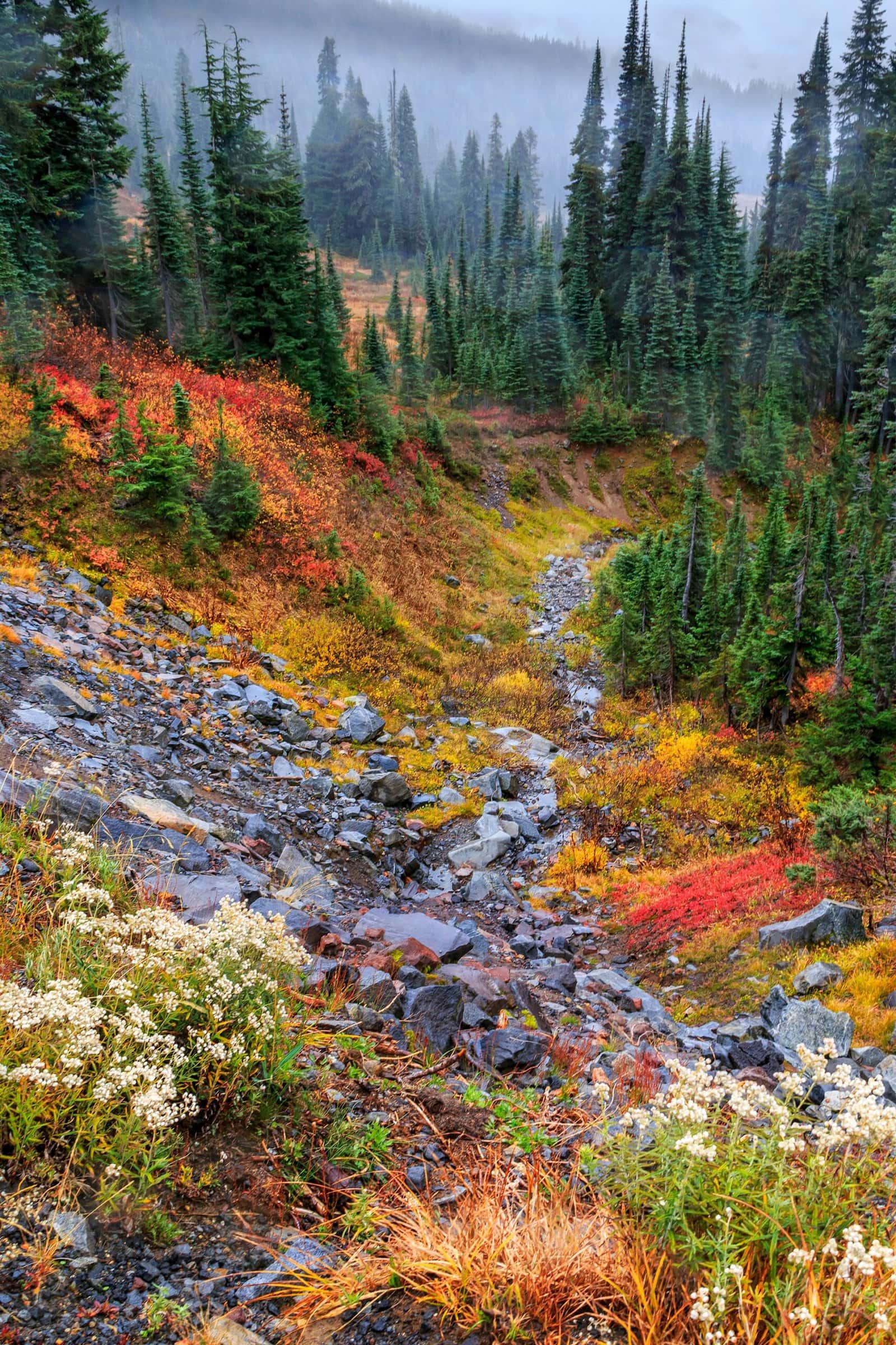 Autumn in Mount Rainier National Park