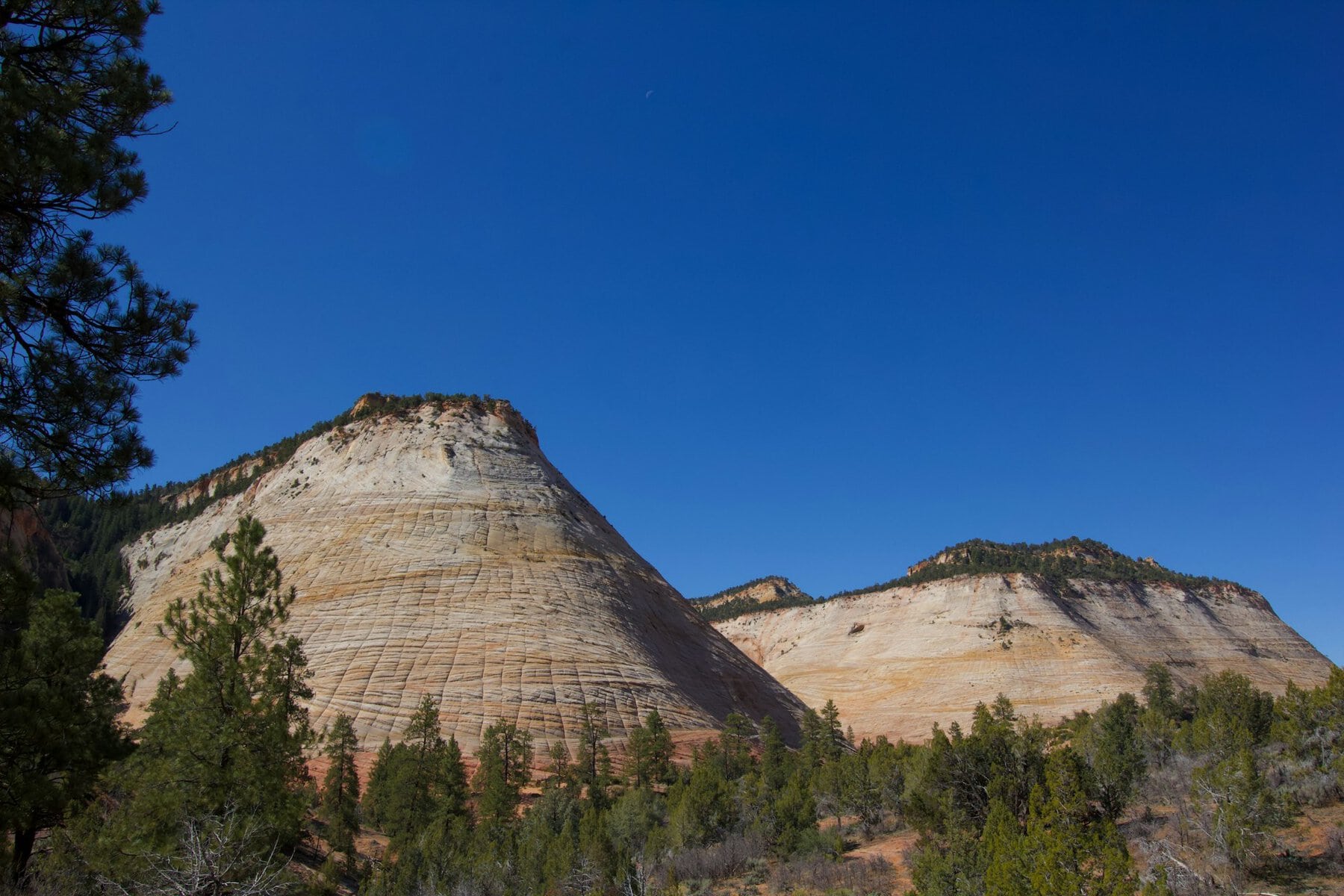 The Checkerboard Mesa in Zion Park