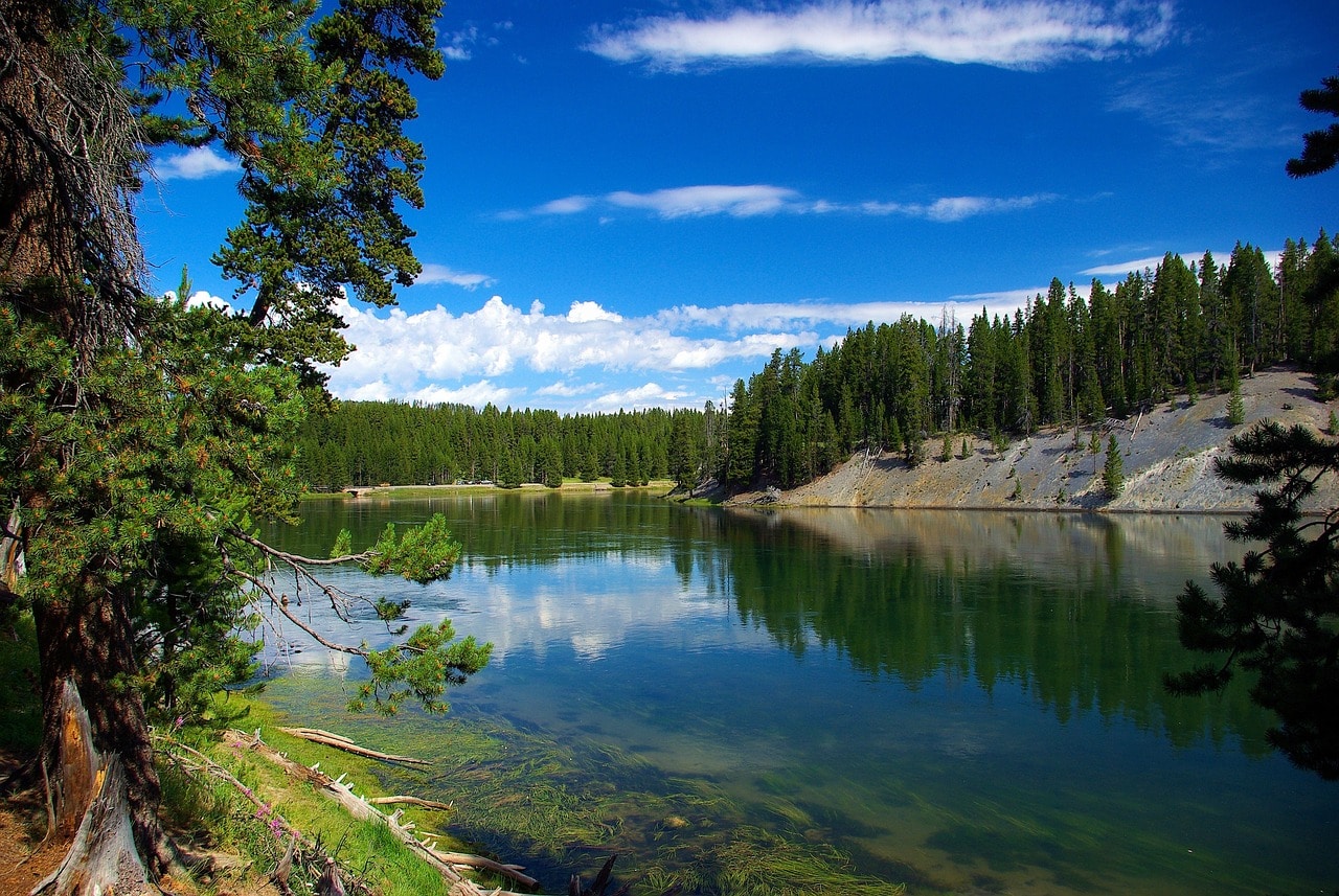 The view of Hayden Valley in Yellowstone Park