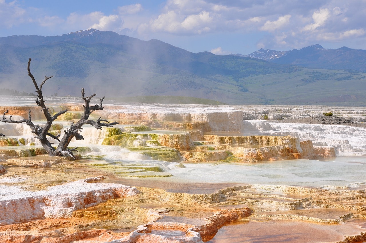 Mammoth Hot Springs in Yellowstone Park