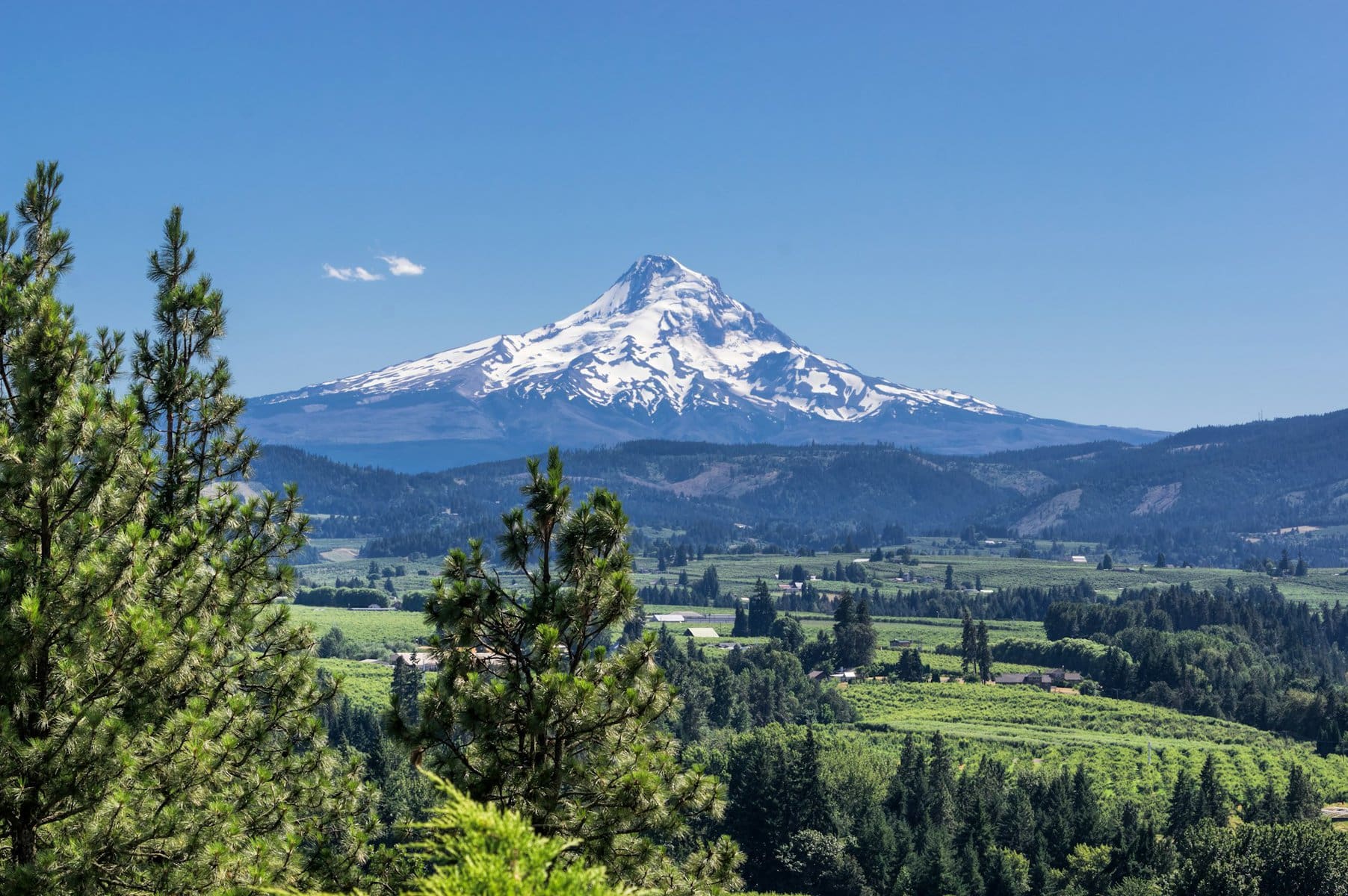 Mount Hood east of Portland