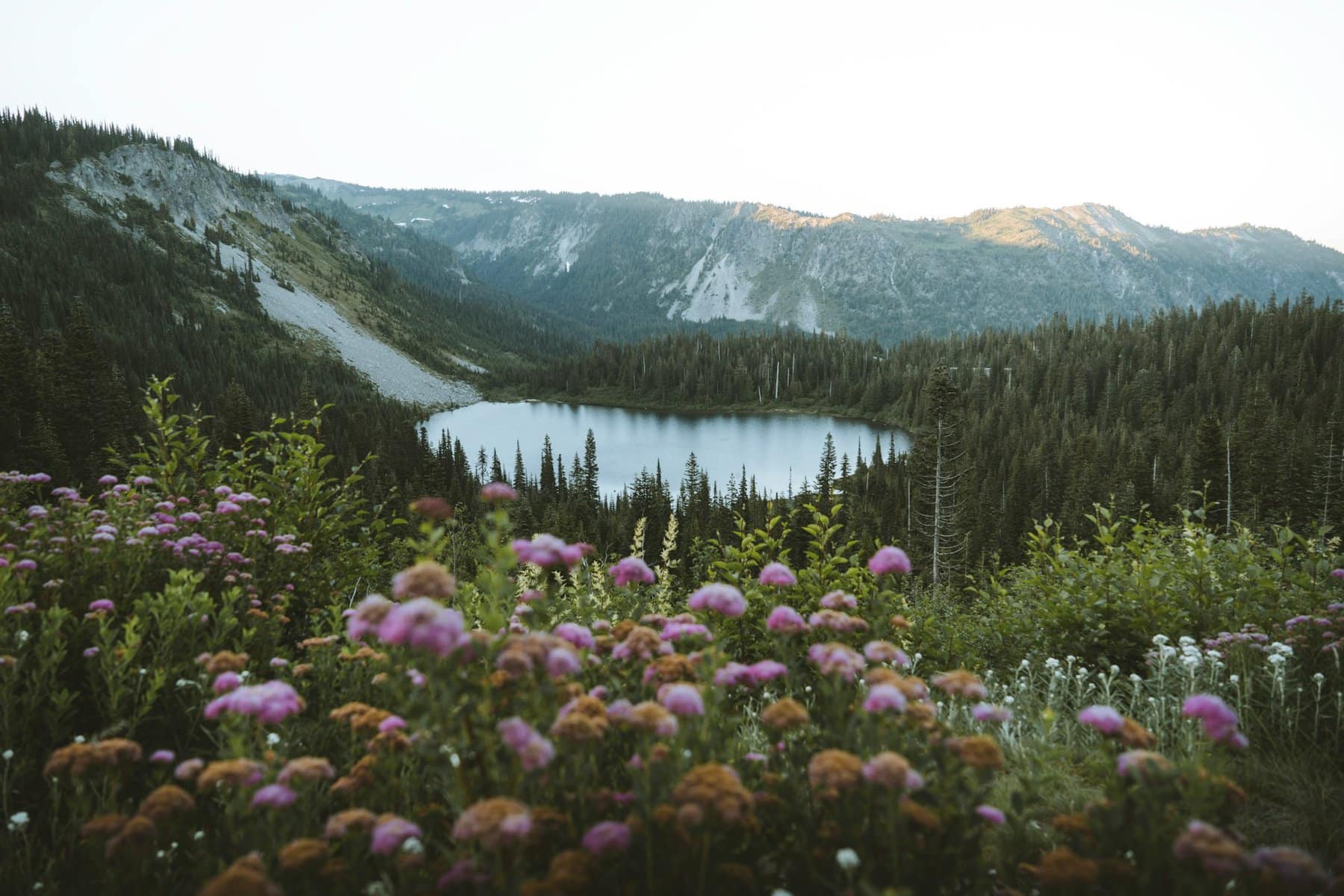 A pond in Mount Rainier National Park