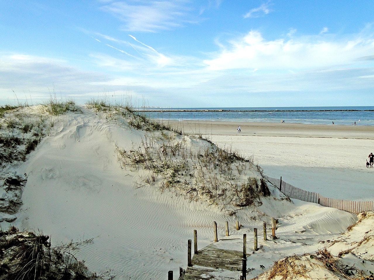 Dunes on the Gulf Coast Beach in Florida