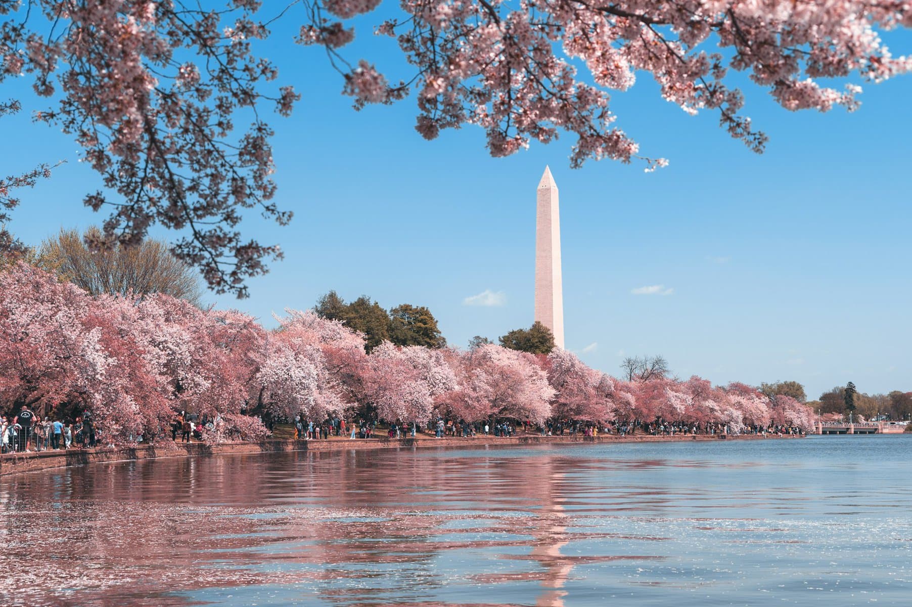 Washington Monument over the Potomac in Washington, D.C.
