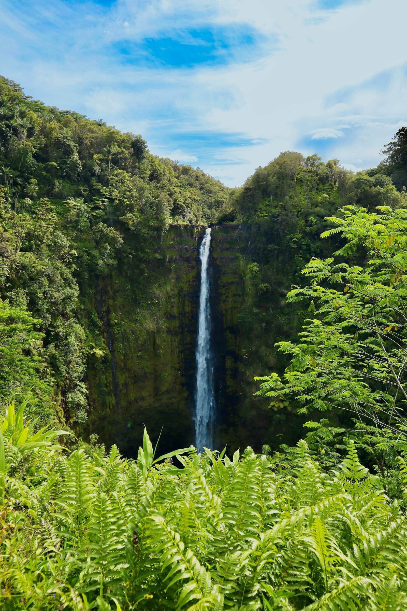 Akaka Falls north of Hilo on Hawaii Island