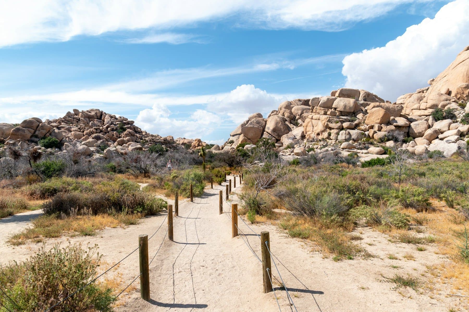 Barker Dam Trail in Joshua Tree National Park