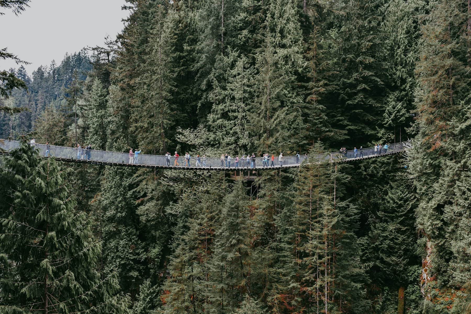 The Capilano Suspension Bridge North of Vancouver