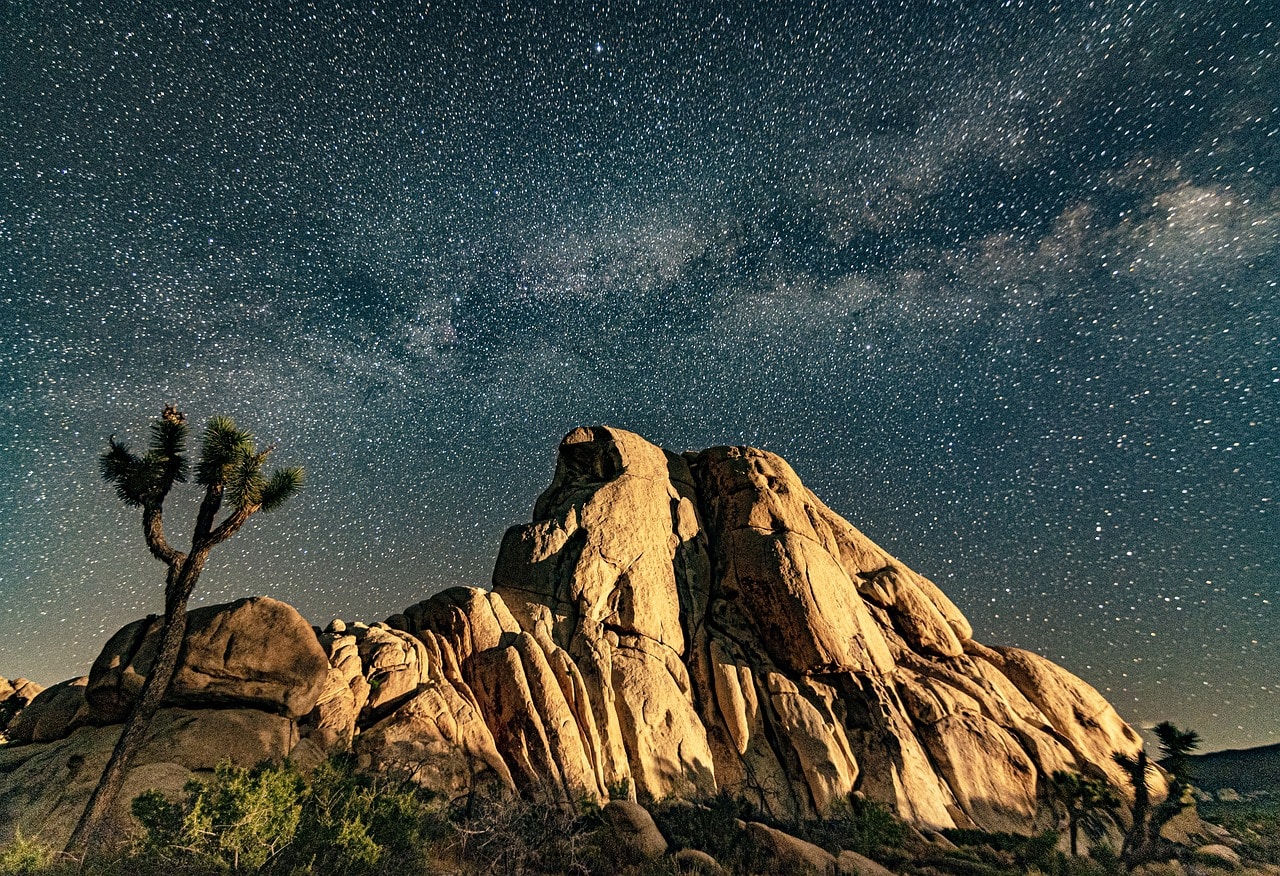 Stargazing at Joshua Tree National Park