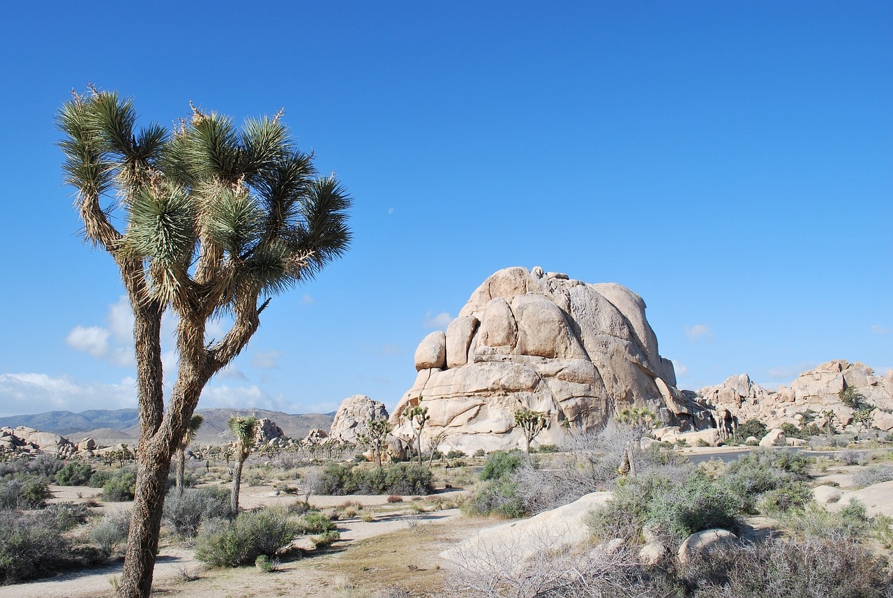 Hidden Valley View in Joshua Tree Trail