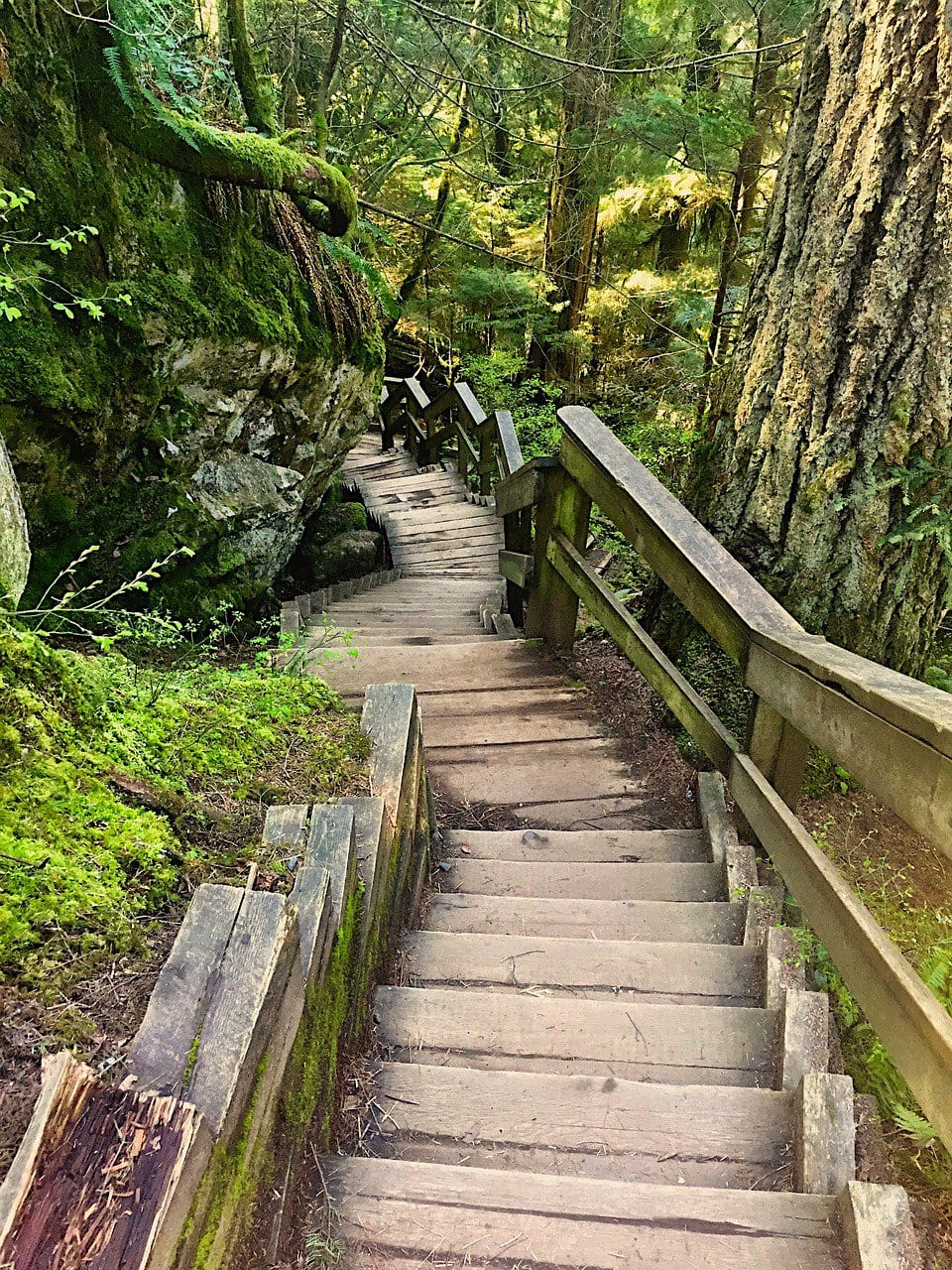 Lynn Canyon Park Vancouver