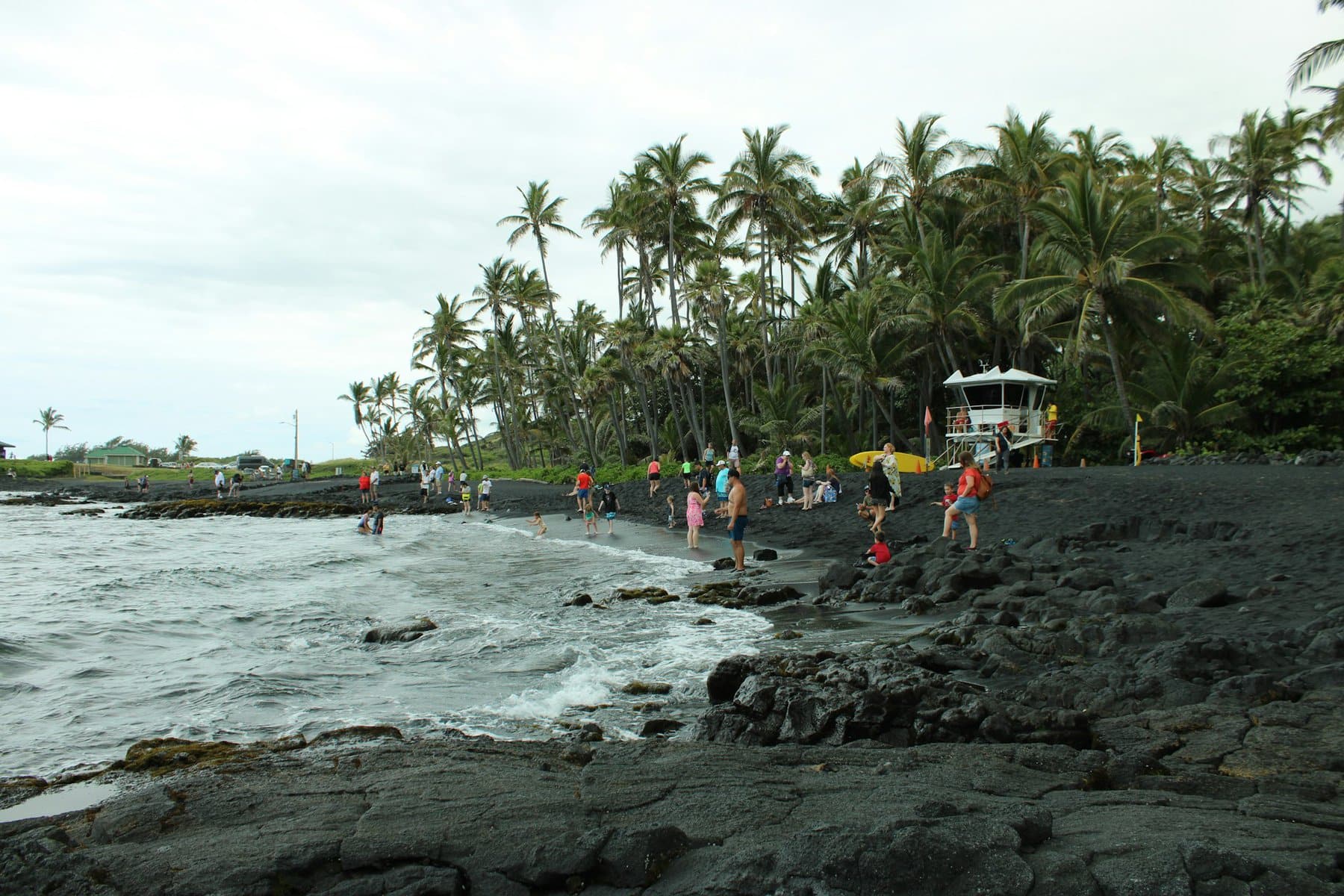 Punalu'u Beach - The black sand beach in southern Hawaii Island