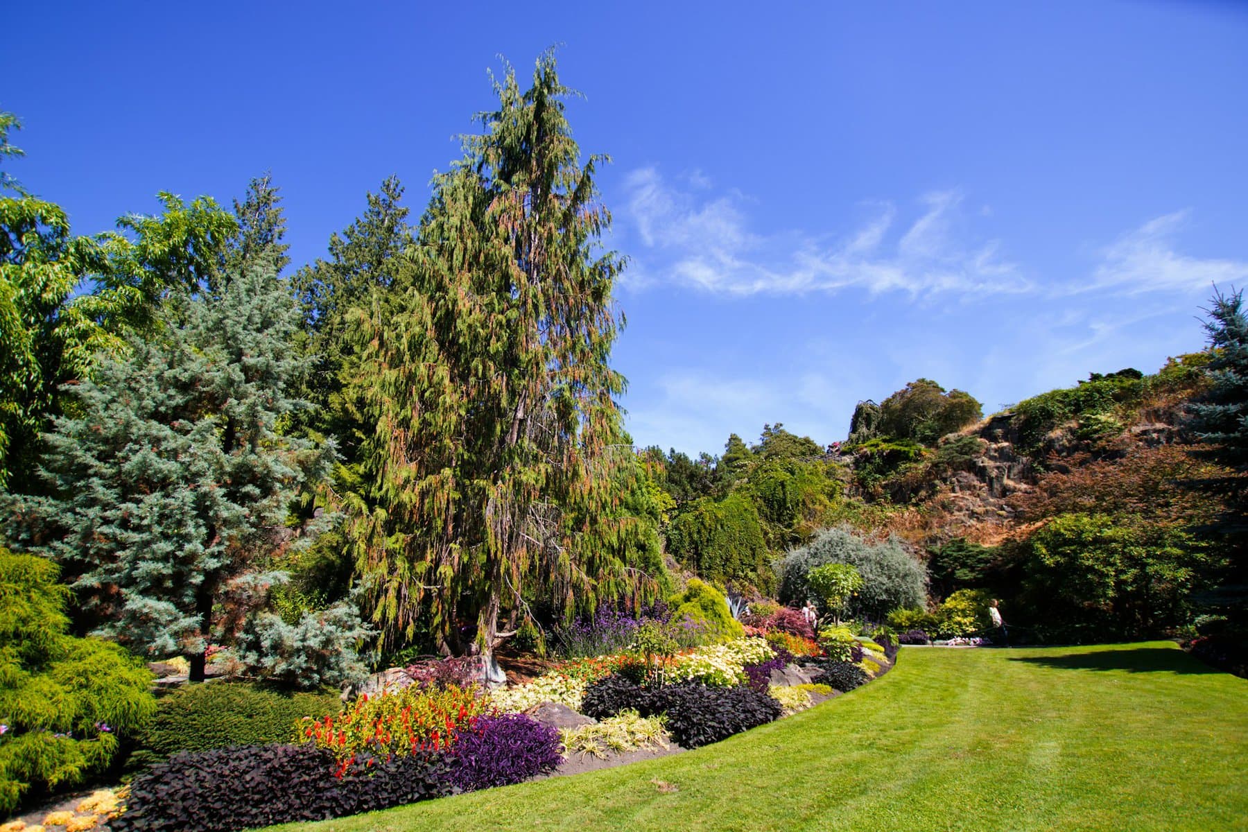 Queen Elizabeth Park Vancouver