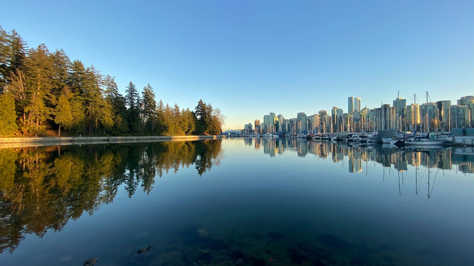 Stanley Park to Downtown Vancouver