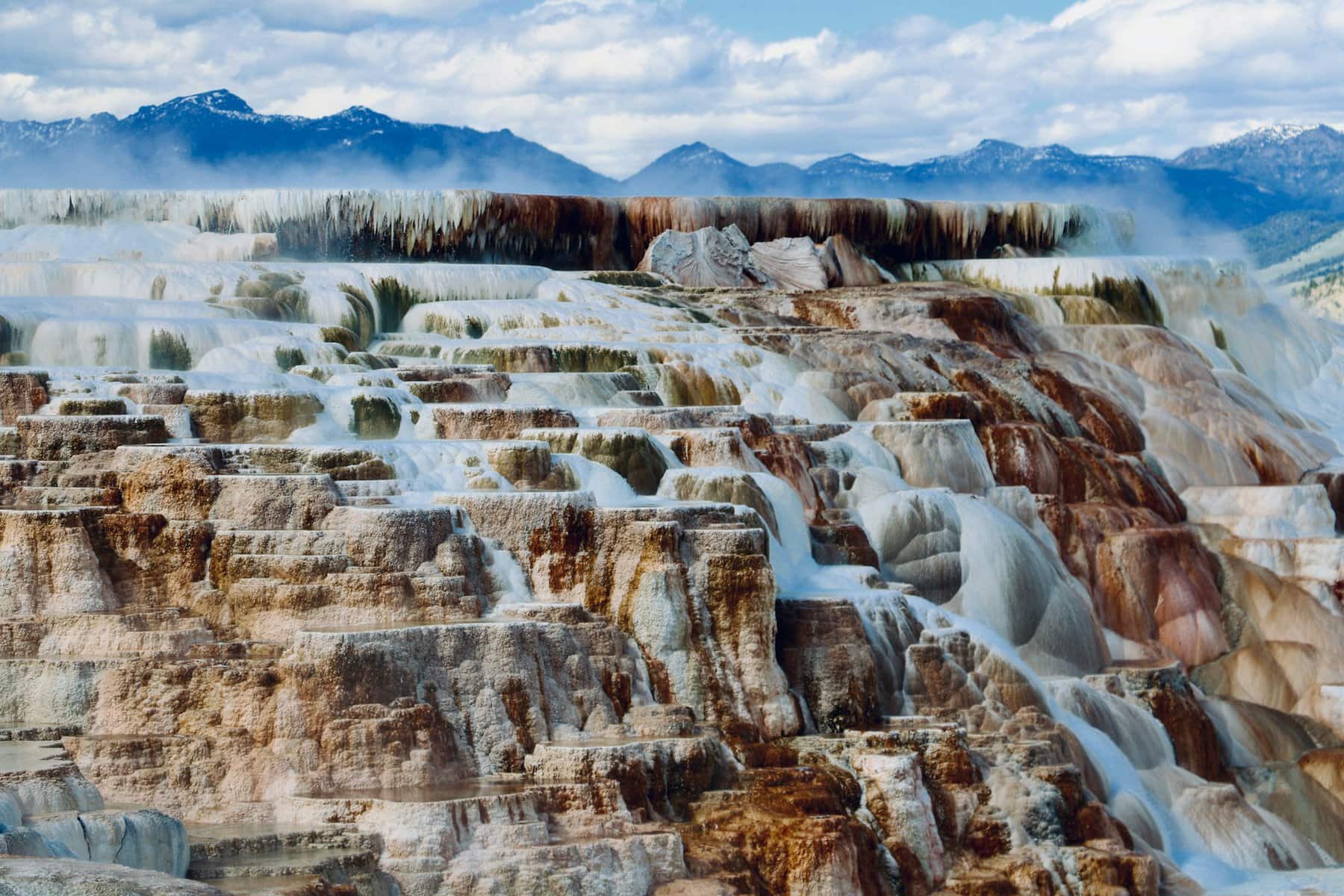 The Mammoth Springs in Yellowstone National Park