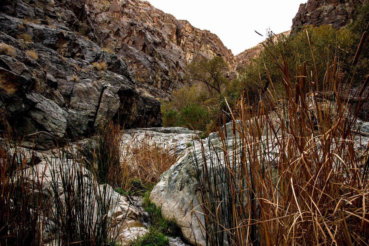 Darwin Falls in Death Valley National Park