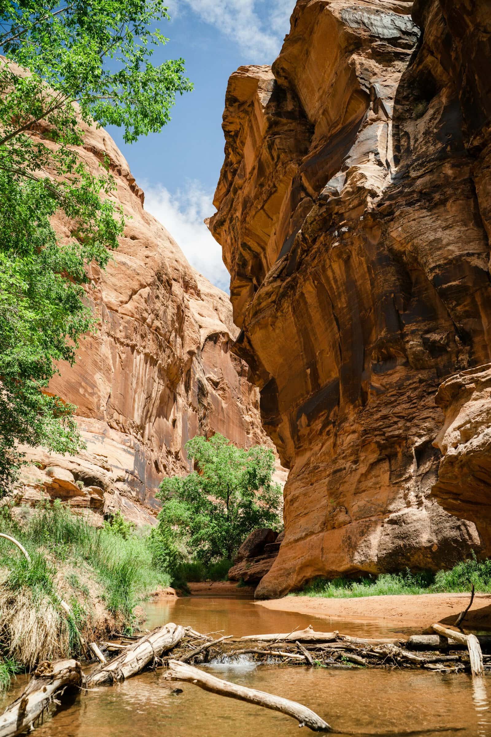 A hiking trail in a stream near the town of Moab, Utah