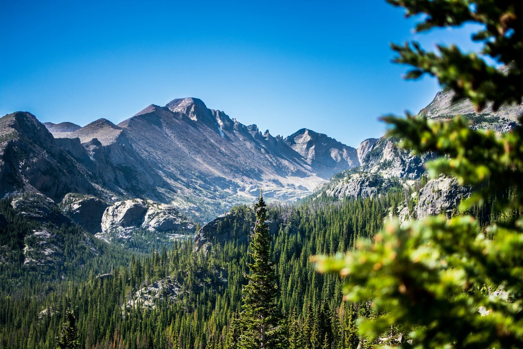 View from Bear Lake Trail in Rocky Mountain National Park