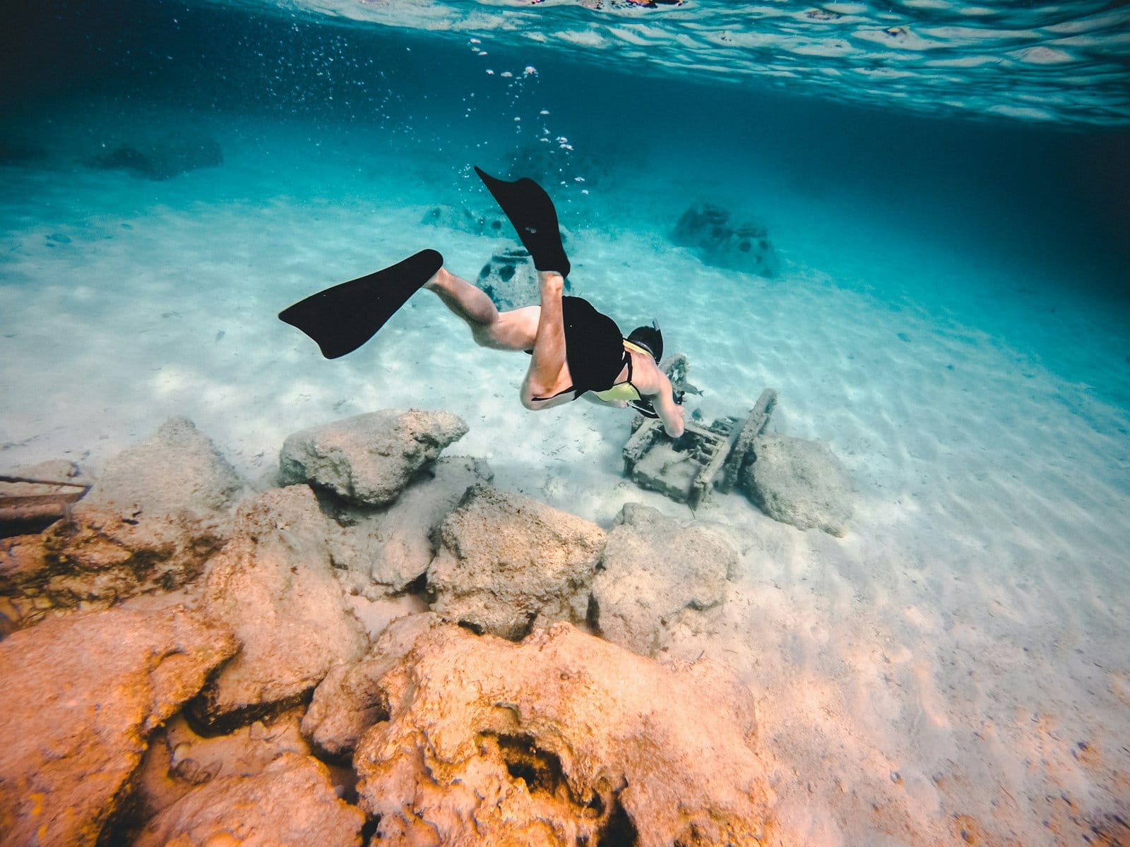 Diving in the Bahamas