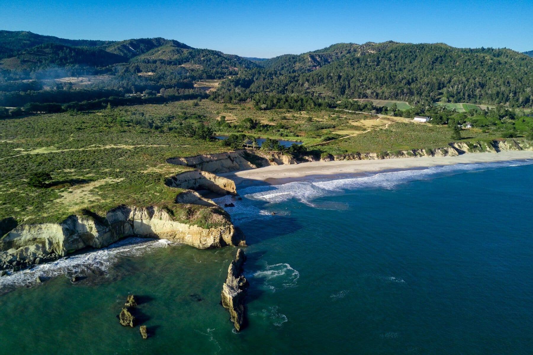 Ano Nuevo State Park