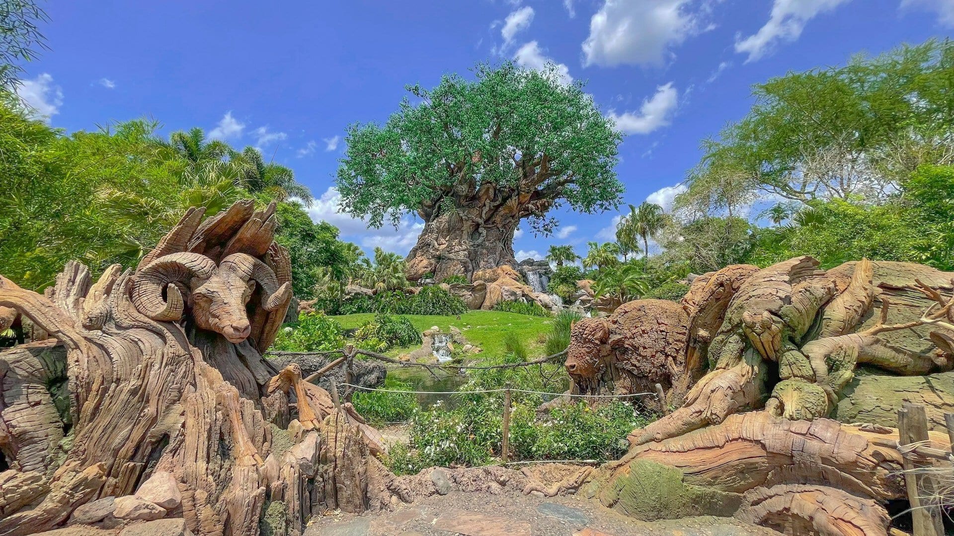 Disney's Animal Kingdom in Orlando