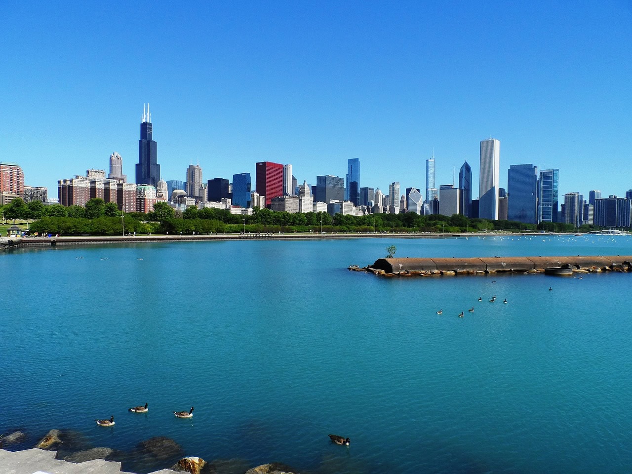 The Sears Tower above Chicago's skyline
