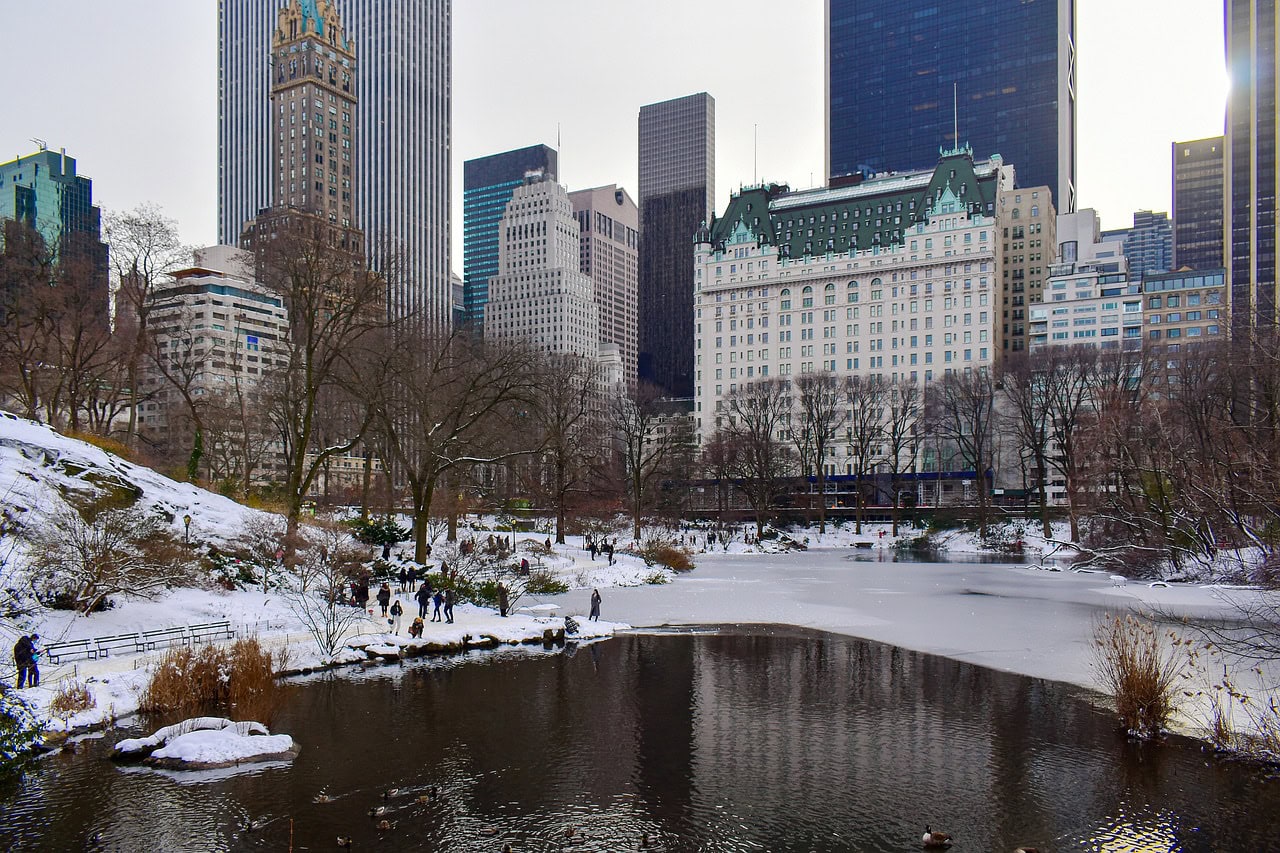 Central Park in New York