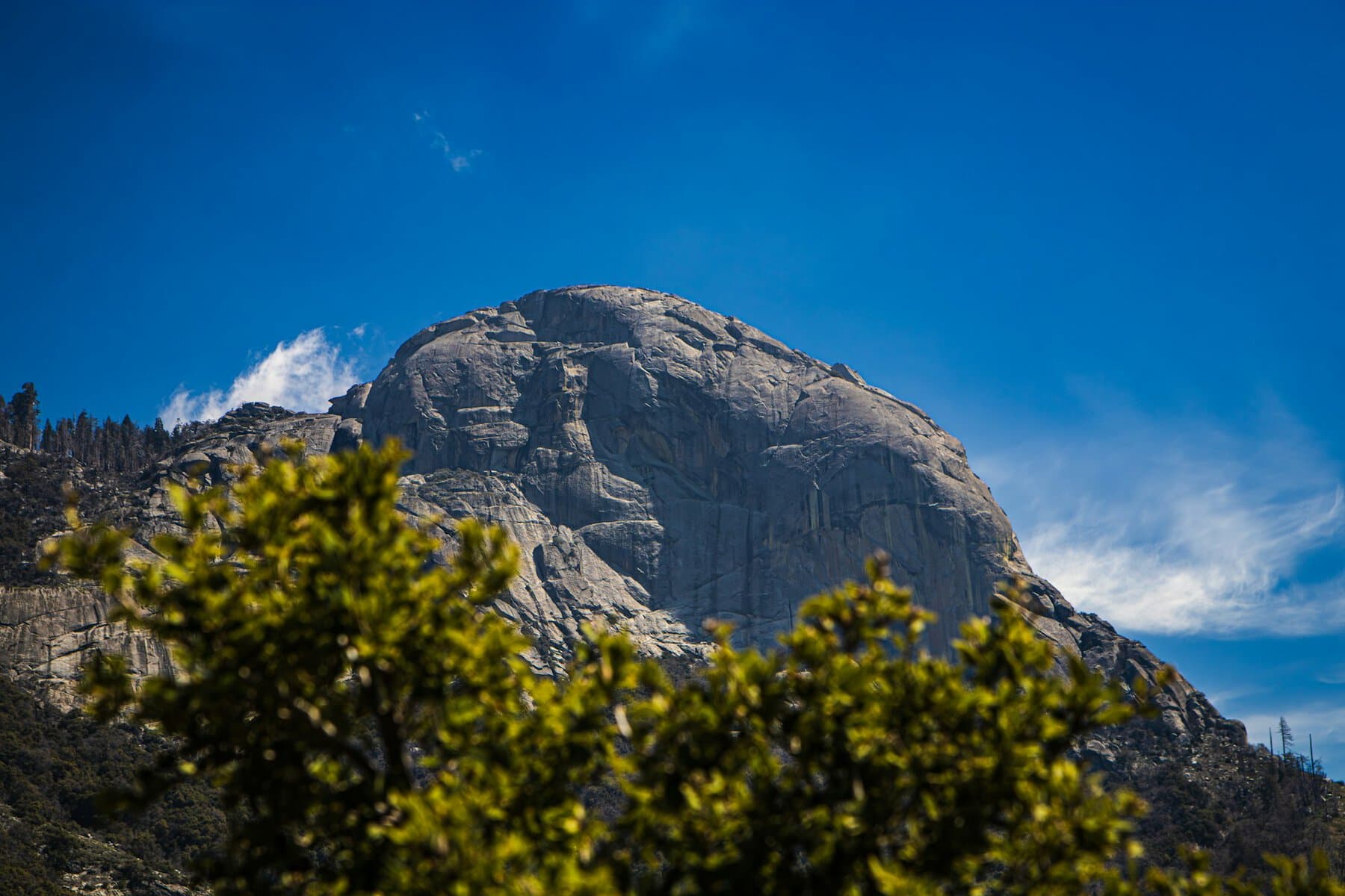 Granite boulder at Kings Canyon National Park