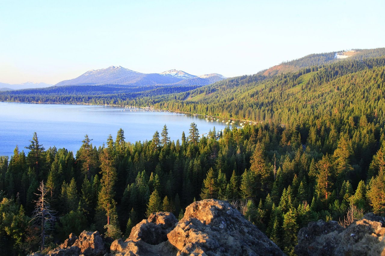 The coniferous forests of Lake Tahoe