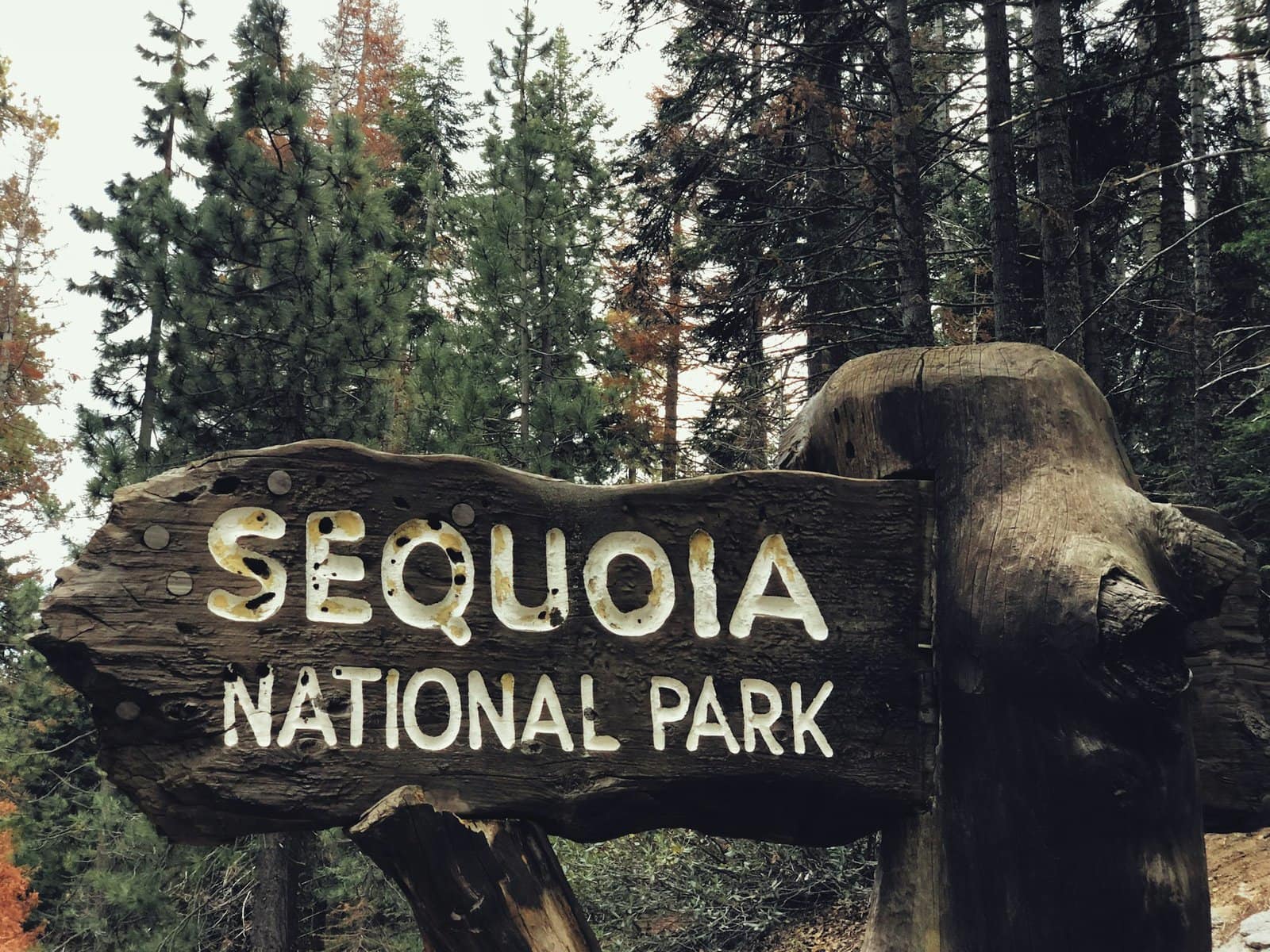 Entrance sign at Sequoia National Park
