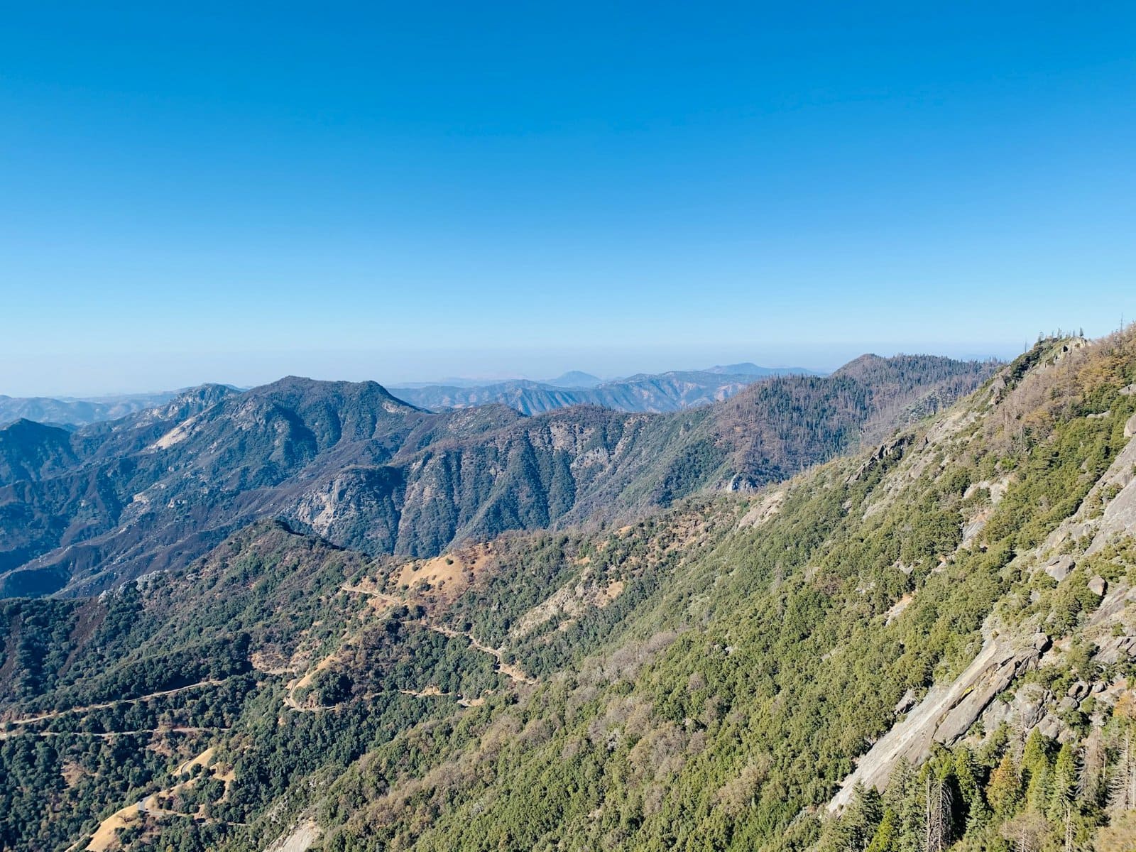 Sequoia National Park