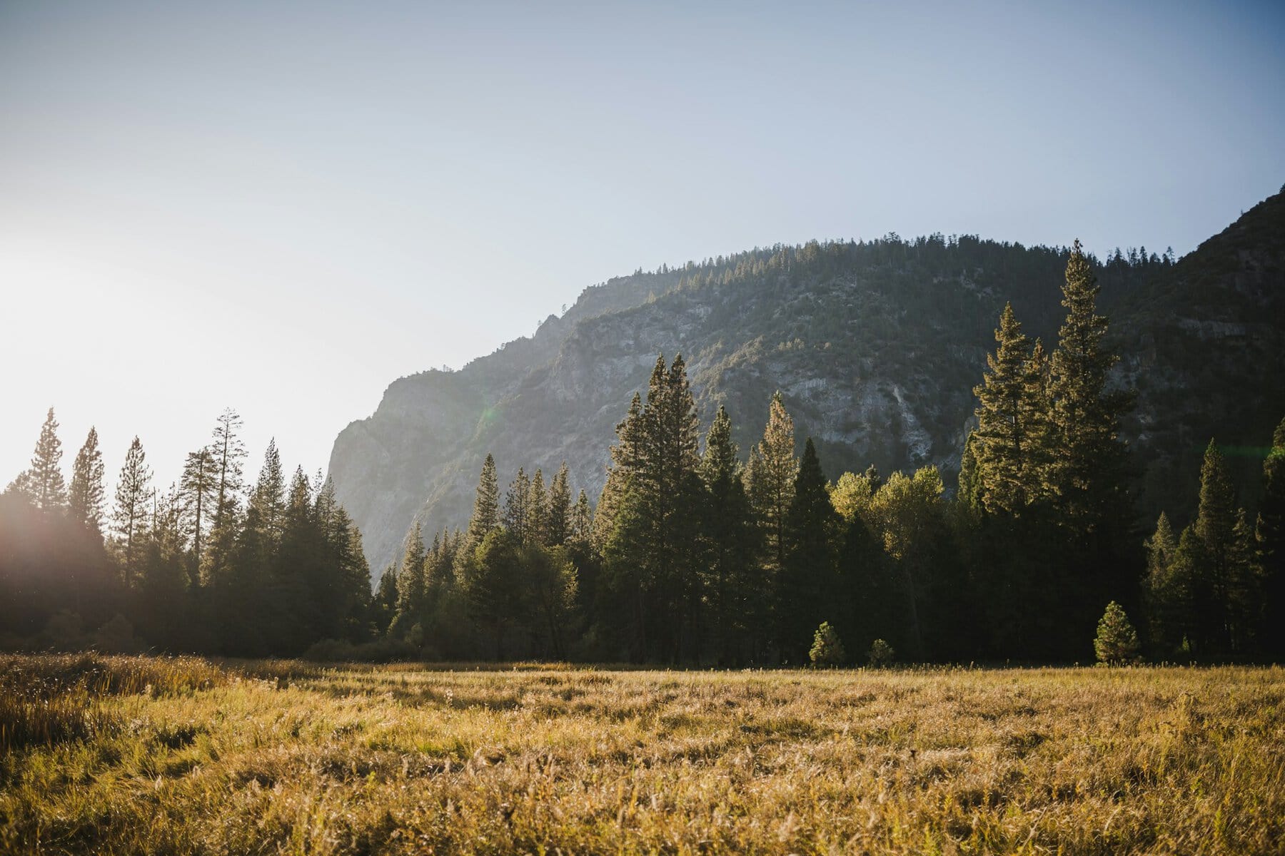 Zumwalt Meadow in Kings Canyon National Park